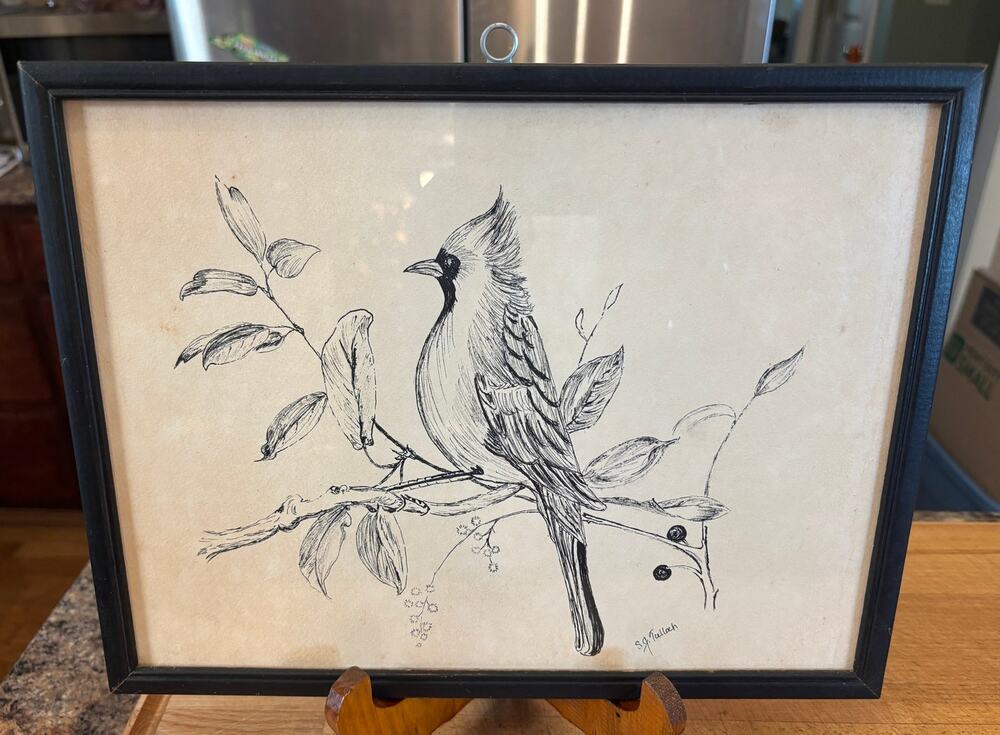 Vintage Original Cardinal Pen Ink Drawing Signed Framed Bird Art Cottage Decor